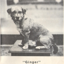 Statue of Ginger - 1958